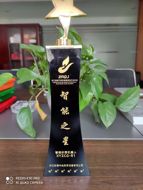 智能之星金奖