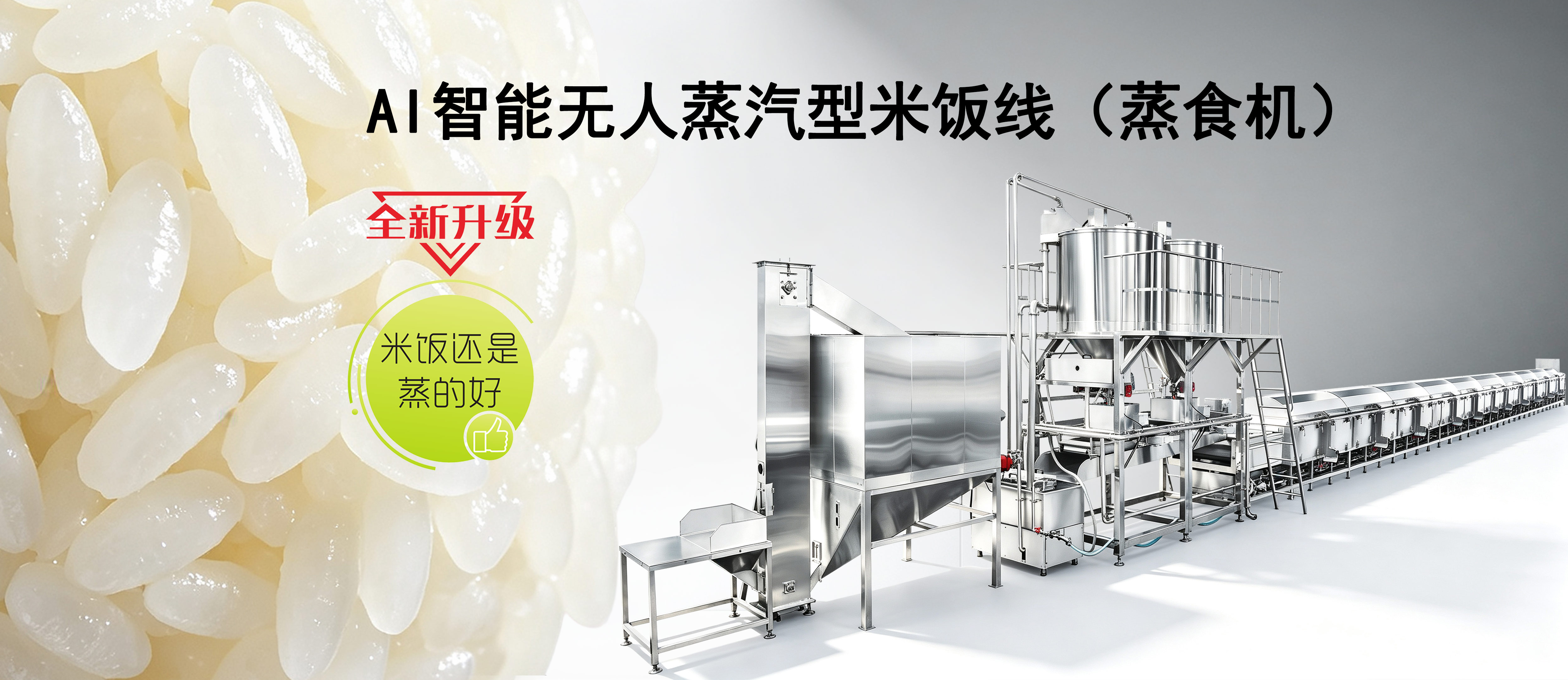 蒸汽型自动米饭生产线