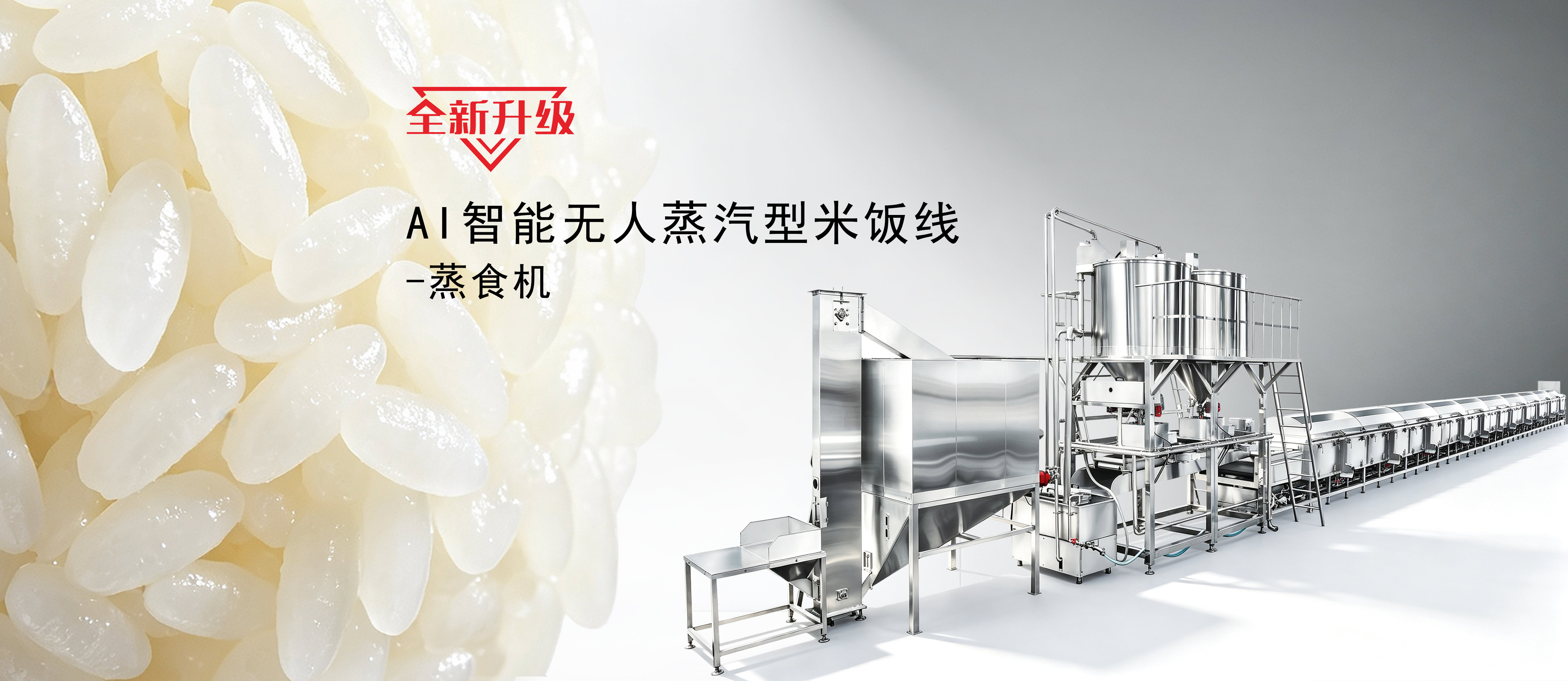 蒸汽型自动米饭生产线