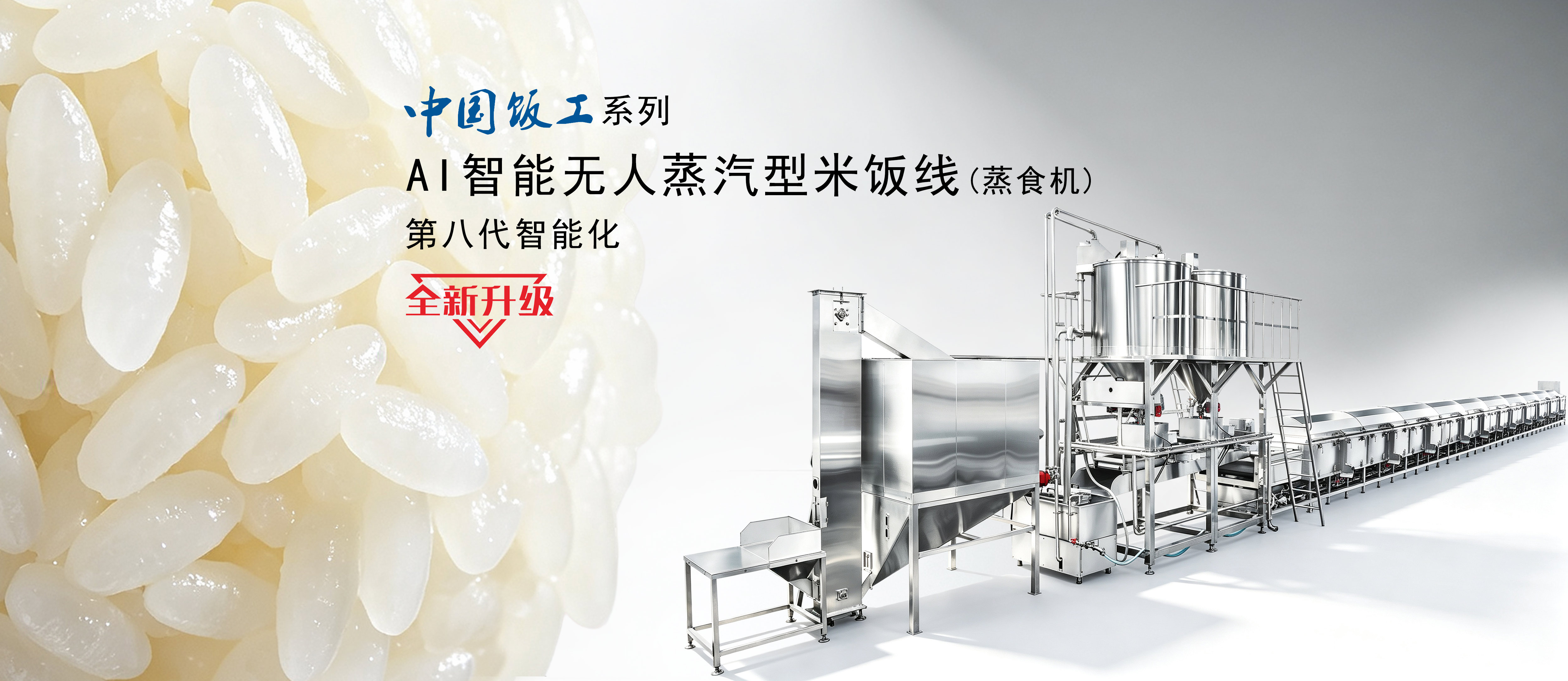 蒸汽型自动米饭生产线
