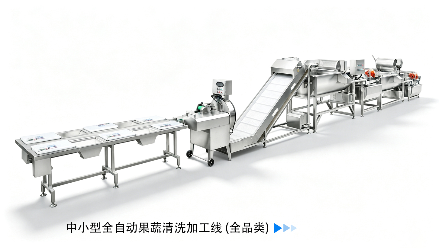中小型全自动果蔬清洗加工线 (全品类)