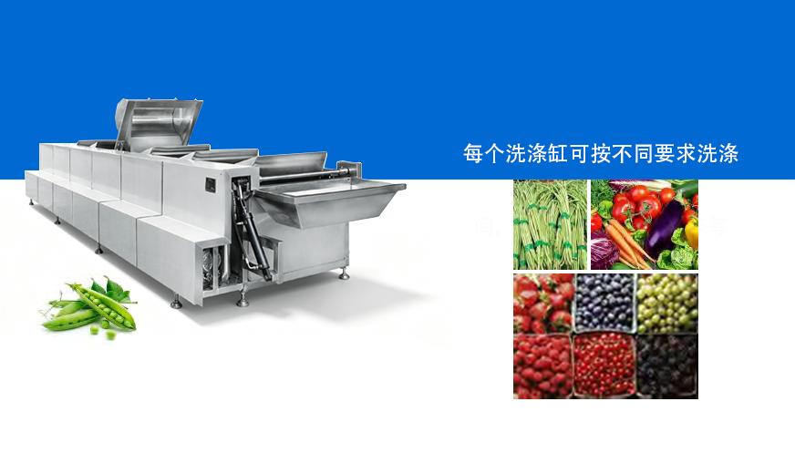 多功能翻斗洗菜机(智能型)