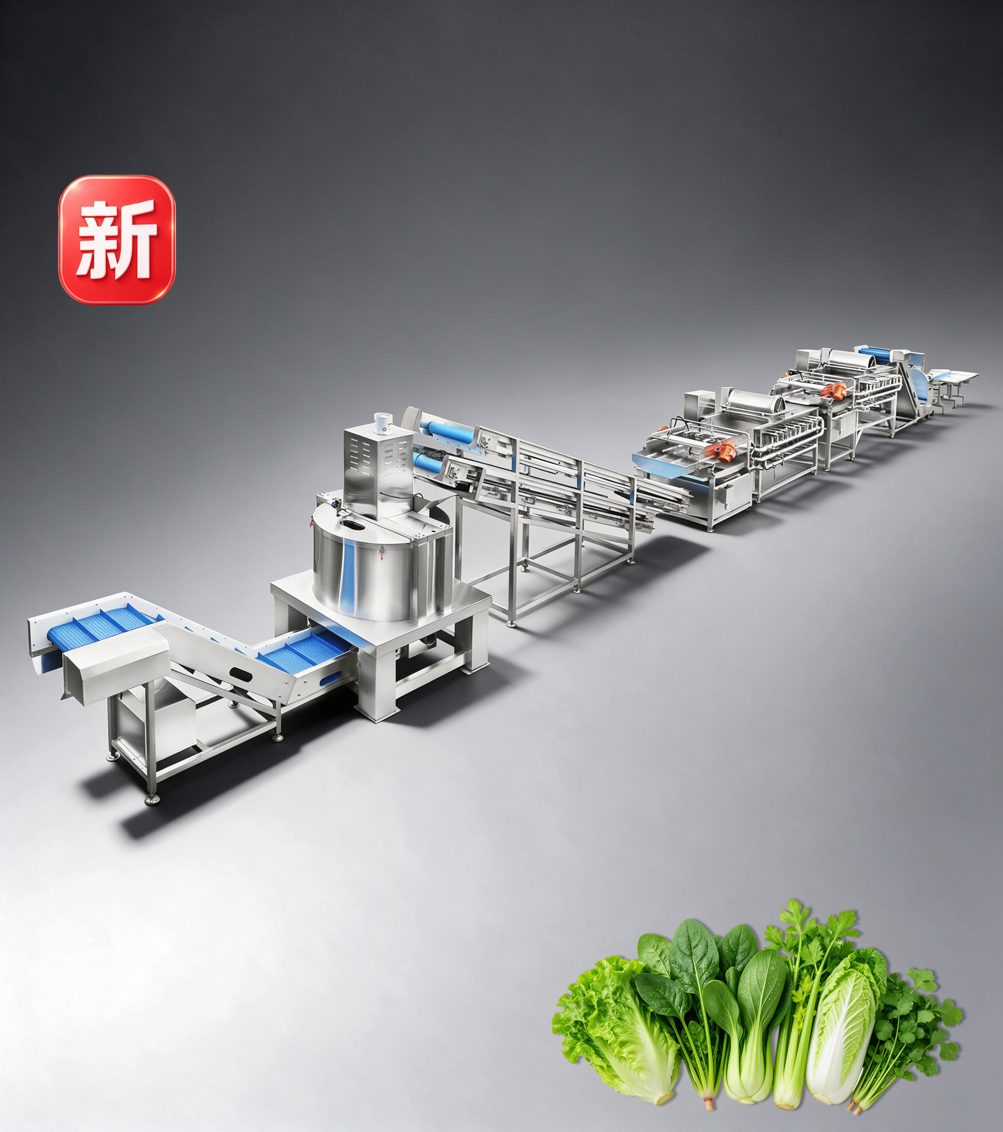 大型全自动叶菜净菜加工清洗线