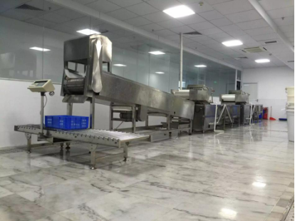 翔鹰大型洗菜线