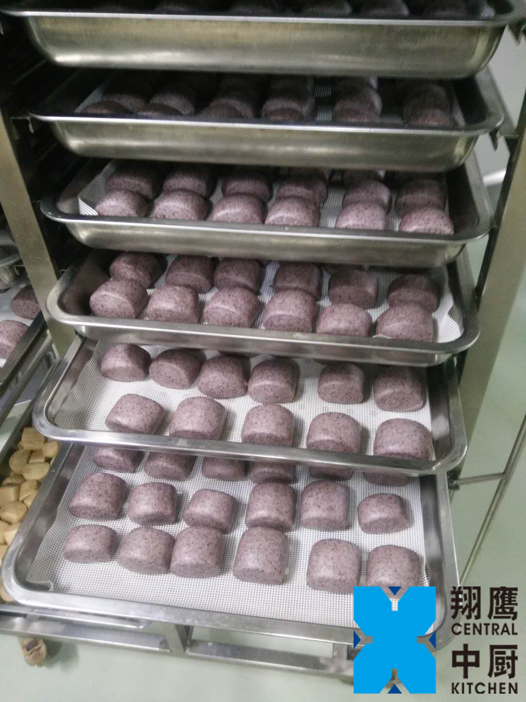 效果图