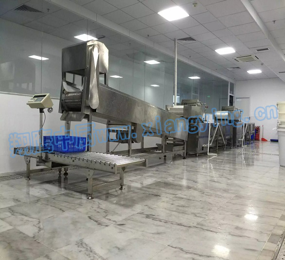 翔鹰连续式洗菜线助力妙香居泡菜产业升级